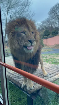 多摩動物公園に投稿された画像（2026/3/10）