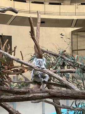 多摩動物公園に投稿された画像（2026/3/10）