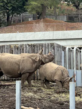 多摩動物公園に投稿された画像（2026/3/10）