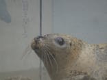 京都水族館に投稿された画像（2026/3/10）