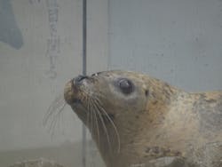 京都水族館に投稿された画像（2026/3/10）