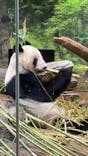 恩賜上野動物園に投稿された画像（2026/3/10）