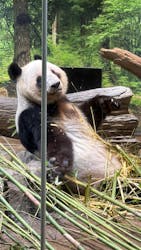 恩賜上野動物園に投稿された画像（2026/3/10）