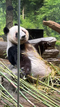 恩賜上野動物園に投稿された画像（2026/3/10）