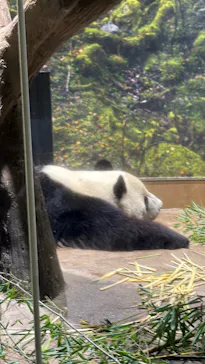 恩賜上野動物園に投稿された画像（2026/3/10）