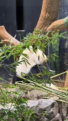 恩賜上野動物園に投稿された画像（2026/3/10）