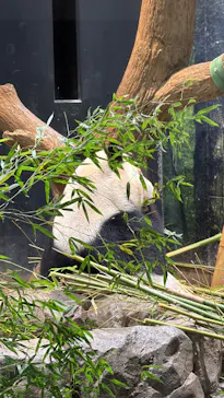 恩賜上野動物園に投稿された画像（2026/3/10）