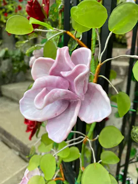 箱根ガラスの森美術館に投稿された画像（2026/3/10）