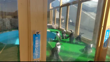 名古屋港水族館に投稿された画像（2026/3/10）