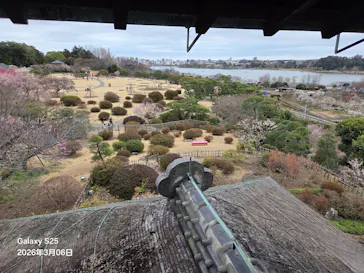 偕楽園本園に投稿された画像（2026/3/10）