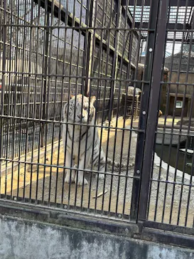 宇都宮動物園に投稿された画像（2026/3/10）