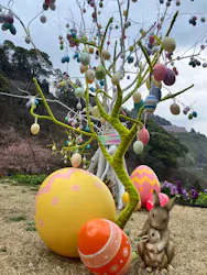 ACAO FORESTに投稿された画像（2026/3/10）