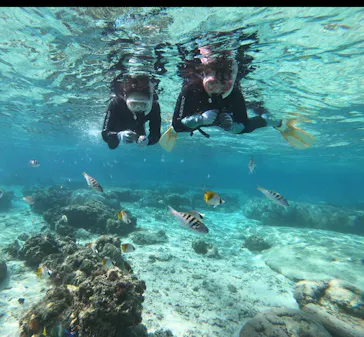 武藤潜水に投稿された画像（2026/3/11）