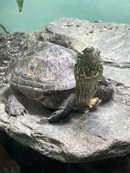 名古屋市東山動植物園に投稿された画像（2026/3/11）