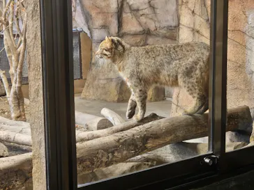 那須どうぶつ王国に投稿された画像（2026/3/11）