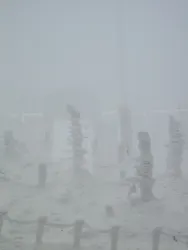 蔵王ロープウェイに投稿された画像（2026/3/11）