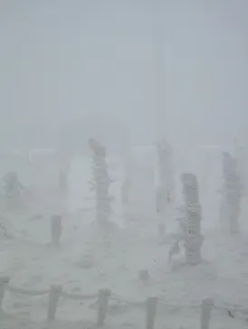 蔵王ロープウェイに投稿された画像（2026/3/11）