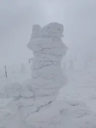 蔵王ロープウェイに投稿された画像（2026/3/11）