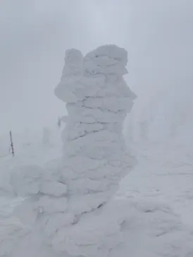 蔵王ロープウェイに投稿された画像（2026/3/11）