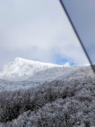 蔵王ロープウェイに投稿された画像（2026/3/11）