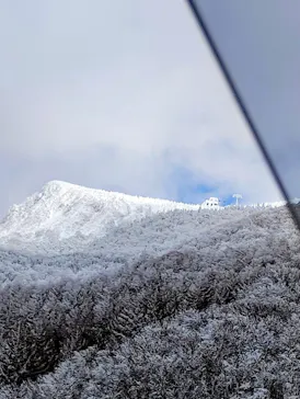 蔵王ロープウェイに投稿された画像（2026/3/11）