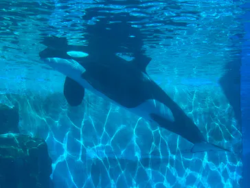 名古屋港水族館に投稿された画像（2026/3/11）