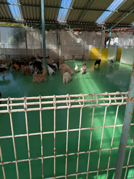 つくばわんわんランドに投稿された画像（2026/3/11）