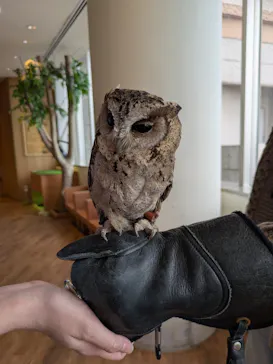 Moff animal cafe 小田原ダイナシティ店に投稿された画像（2026/3/11）