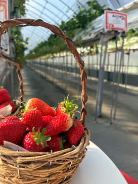 ニューベリーに投稿された画像（2026/3/11）