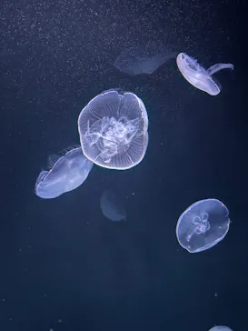 サンシャイン水族館に投稿された画像（2026/3/11）