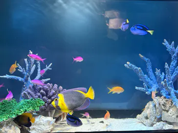 サンシャイン水族館に投稿された画像（2026/3/11）