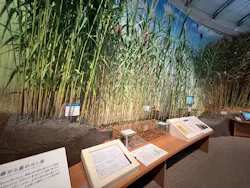 滋賀県立琵琶湖博物館に投稿された画像（2026/3/11）