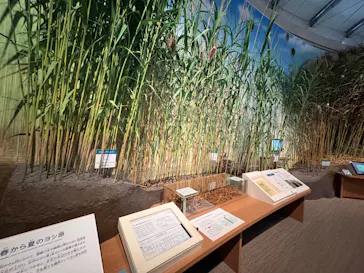 滋賀県立琵琶湖博物館に投稿された画像（2026/3/11）