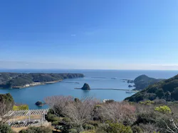 下田ロープウェイに投稿された画像（2026/3/11）