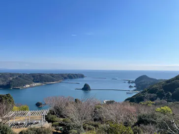 下田ロープウェイに投稿された画像（2026/3/11）