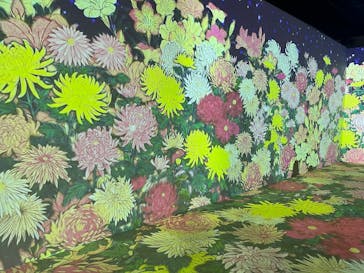 動き出す浮世絵展 OSAKAに投稿された画像（2026/3/11）