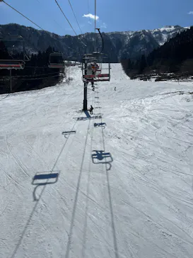 氷ノ山国際スキー場に投稿された画像（2026/3/11）