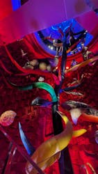 万博記念公園に投稿された画像（2026/3/11）