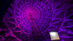 万博記念公園に投稿された画像（2026/3/11）