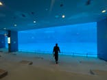 名古屋港水族館に投稿された画像（2026/3/12）