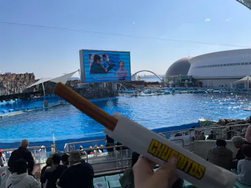 名古屋港水族館に投稿された画像（2026/3/11）