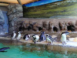 しながわ水族館に投稿された画像（2026/3/11）