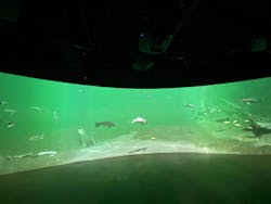 カワスイ 川崎⽔族館に投稿された画像（2026/3/11）