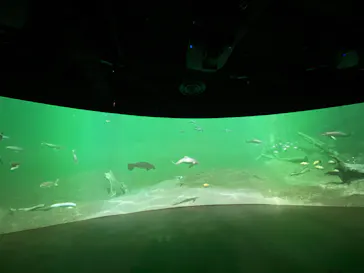 カワスイ 川崎⽔族館に投稿された画像（2026/3/11）