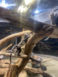 カワスイ 川崎⽔族館に投稿された画像（2026/3/11）