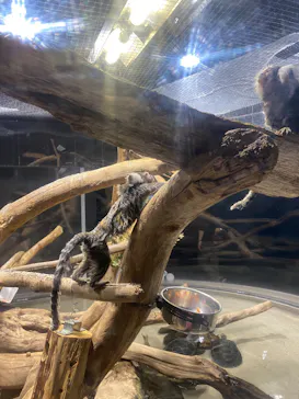 カワスイ 川崎⽔族館に投稿された画像（2026/3/11）