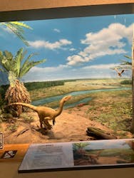 福井県立恐竜博物館に投稿された画像（2026/3/12）