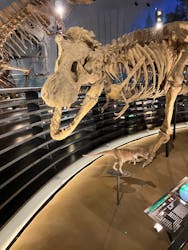 福井県立恐竜博物館に投稿された画像（2026/3/12）