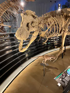 福井県立恐竜博物館に投稿された画像（2026/3/12）