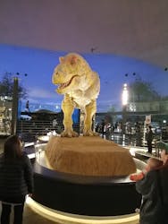 福井県立恐竜博物館に投稿された画像（2026/3/12）